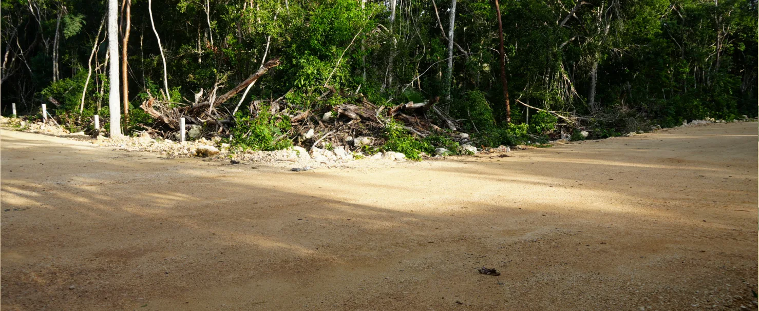 Irregular 174 m² residential lot in Tulum's Region 11 - 6