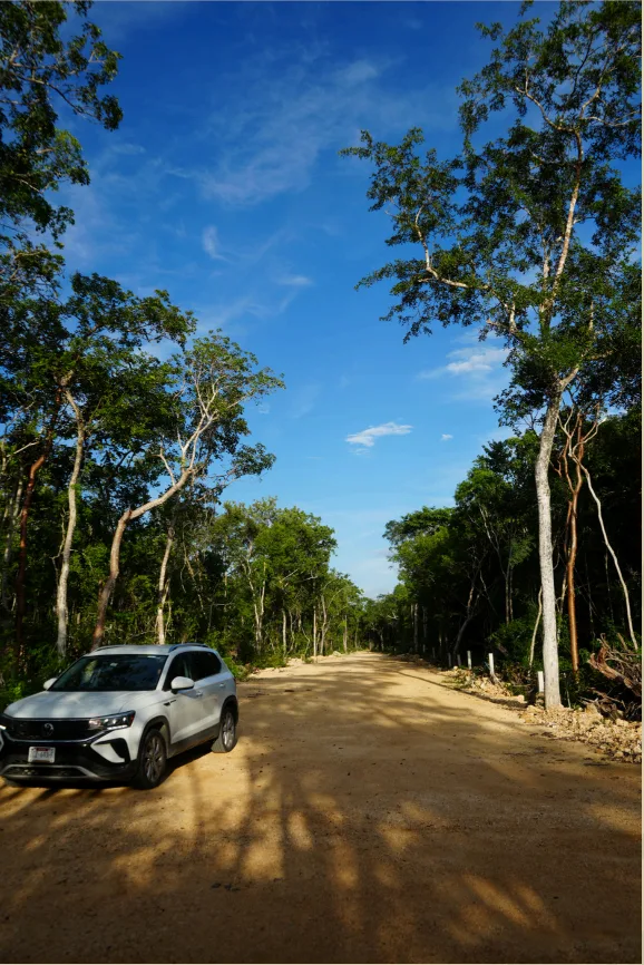 Irregular 174 m² residential lot in Tulum's Region 11 - 7