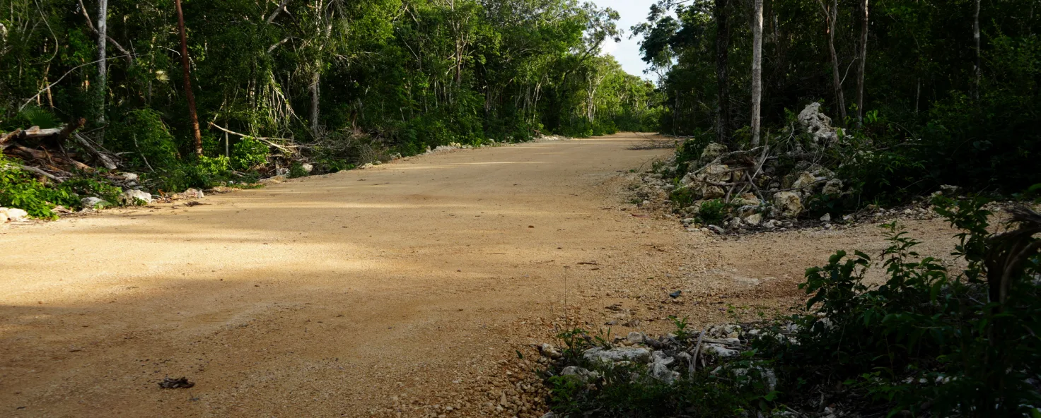 160 m² residential lot in Tulum's Region 11 - 5