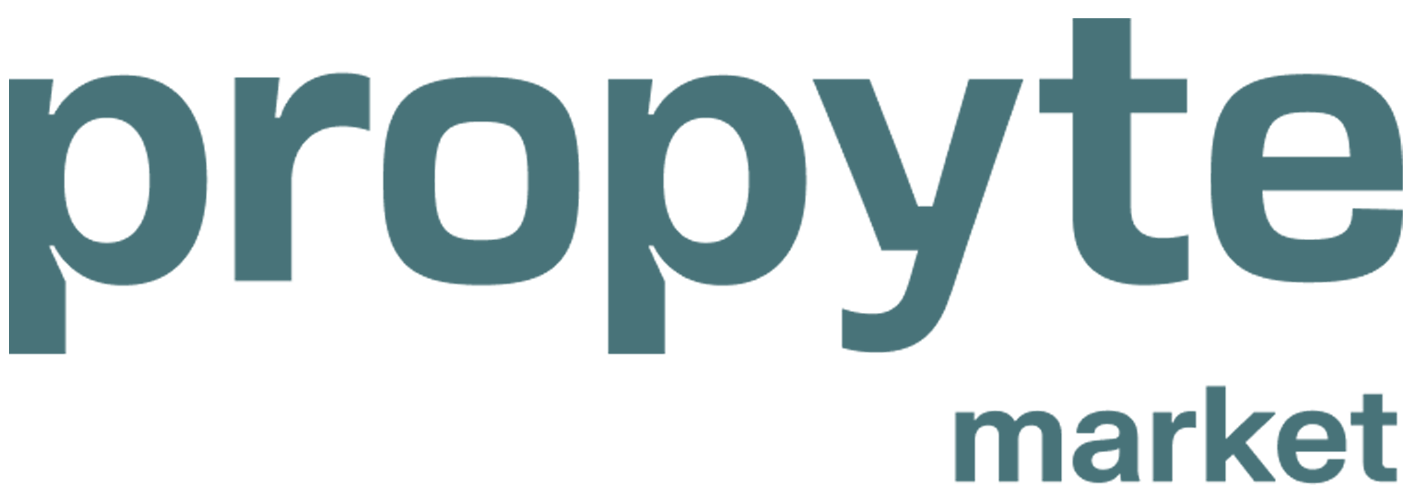 Propyte Market